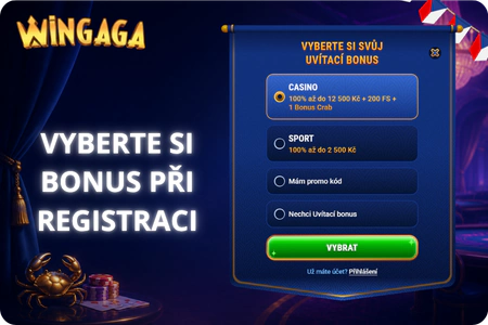 Wingaga Casino login